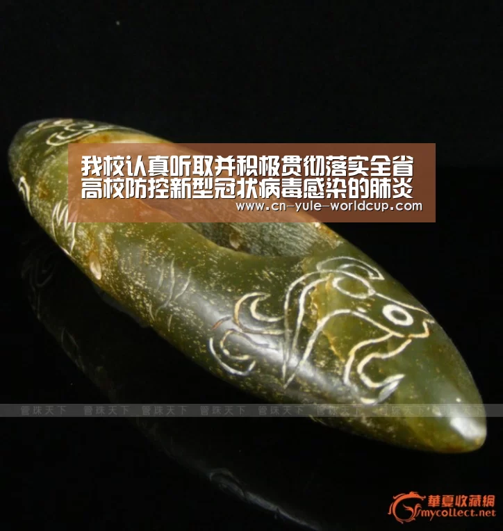 我校认真听取并积极贯彻落实全省高校防控新型冠状病毒感染的肺炎疫情工作视频会议精神:世界杯网站(图3) 2026世界杯